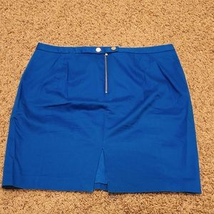 Blue express skirt